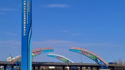 聚焦融资、结算、汇兑、风险管理等议题！青岛自贸片区搭建政银企圆桌对话机制