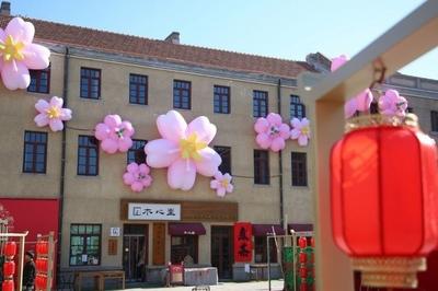 清明小长假来大鲍岛，解锁春日的N种玩法