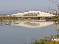 鱼翔浅底水鸟纷飞，张村河尽显生态之美