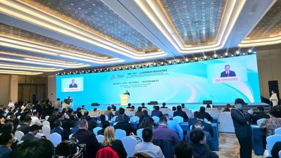 从“山东主场”到“中国机遇”：一场对接会背后的开放逻辑