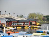 帐篷连营风筝竞天，清明踏青热度不减