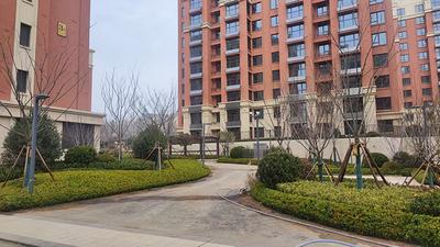 计划6月份完成回迁！青岛规划部门全力攻坚洪园安置区项目规划建设工作