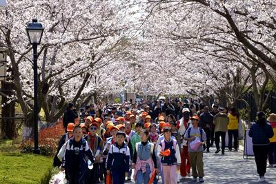 山东一市公布中小学春秋假安排