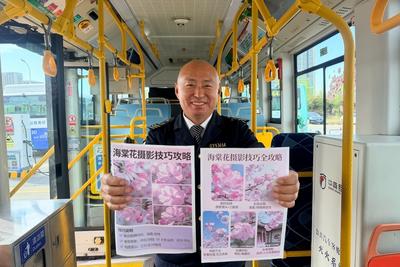 春风送暖海棠醉！青岛温馨巴士多路公交直达花海