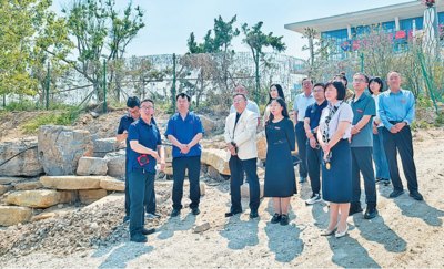 青岛五级人大代表联动，聚合力促发展惠民生