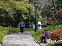 春日私藏！百花苑里百花开