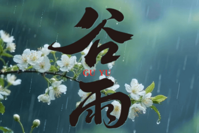 节气化谣 | 谷雨湿气重，宜多出汗排毒？