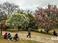 春日私藏！百花苑里百花开