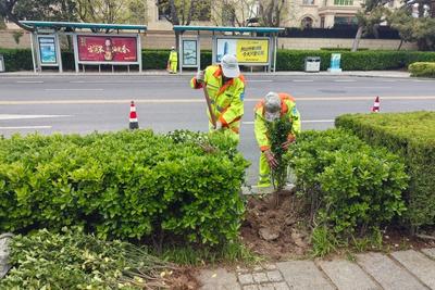 随春而动护花香！青岛综合行政执法部门集中开展春季护绿保障行动