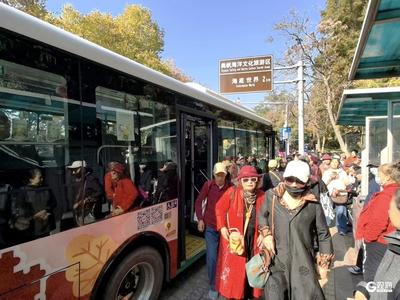 增长近五成、年轻人是主力！青岛环太平山公交清明假期客流创新高