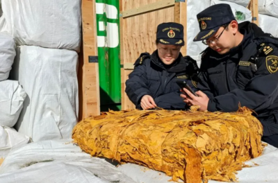 黄岛海关查获伪报出口烟叶14.3吨