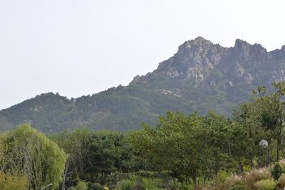 市领导督导检查森林防火工作