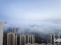 开启“仙境模式”！青岛再现平流雾景观