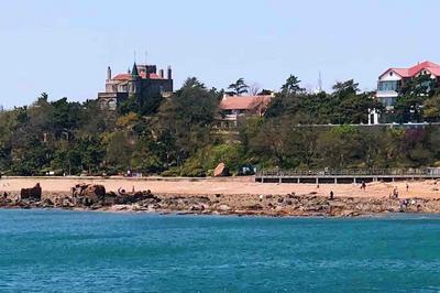 市南区发布4条春日文旅打卡线路