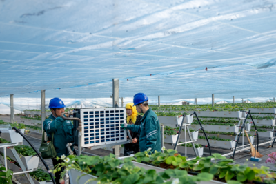 青岛国际通信业务出入口局完成送电，供电赋能城市高质量发展跑出“加速度”