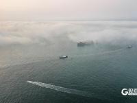 开启“仙境模式”！青岛再现平流雾景观