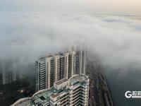 开启“仙境模式”！青岛再现平流雾景观