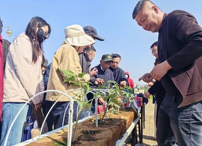 一批智慧设施集中亮相！全国特色设施蔬菜机械化生产推进活动在青举行