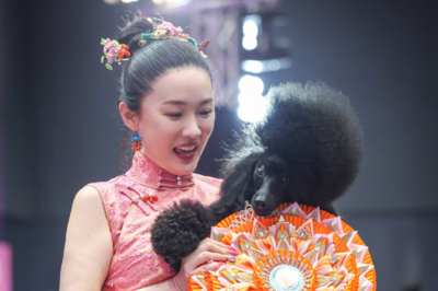 就在青岛，演员霍思燕传喜讯！丈夫杜江发文： “笨笨狼”向全国报道