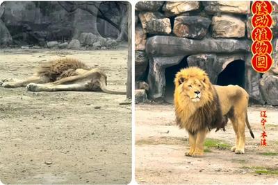 辽宁本溪市动植物园，发布情况说明