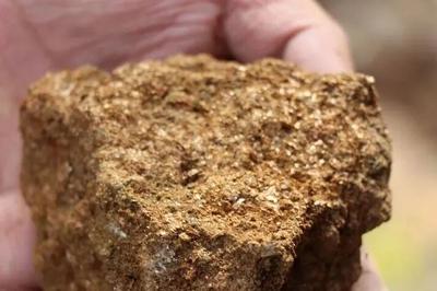 大连8岁男孩爬山发现金矿线索！后续来了→