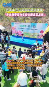 百果山百花节邂逅萌宠盛宴 青岛新晋宠物友好公园温柔上线