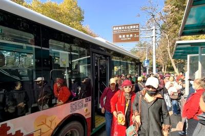 “公交+文旅”提升吸引力！青岛巴士绘制“春日出行美好场景”