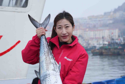 春鲜上岸，6000斤鲅鱼一抢而空！青岛沙子口头茬本地春鲅鱼归港 