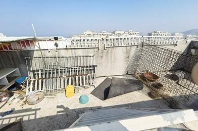 在29楼楼顶搭“禽舍”？这可不行 ！李沧区整治楼顶非法圈占行为