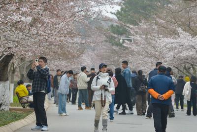 青报教育漫谈 | ​从高校春日“赏花热”说开去