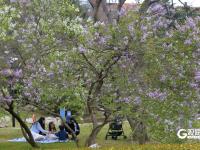春日私藏！百花苑里百花开