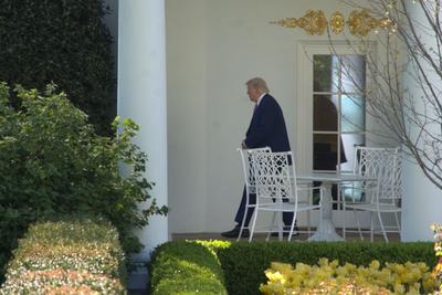 “淡化”特朗普，美共和党调整中期选举策略