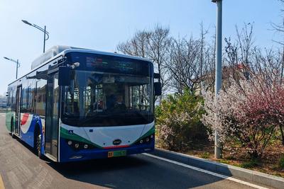 清明踏青正当时！青岛温馨巴士这份乘车攻略请查收