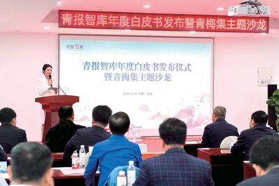 青报智库“青梅集”聚焦“打造国际滨海旅游度假目的地”