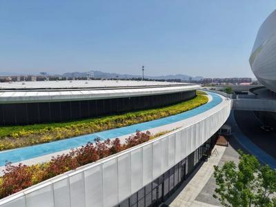 遛弯好去处+1！今天起，青岛青春足球场这些区域面向全体市民开放
