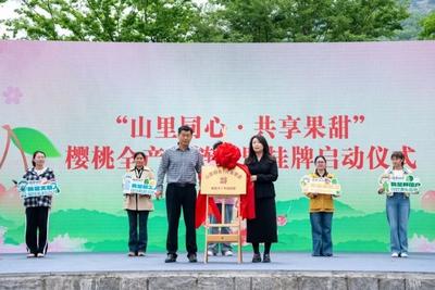 把“土特产”培育成“大产业”，杨家山里第24届樱桃采摘节启幕