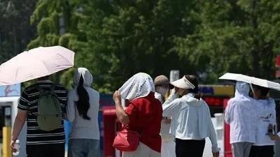 局地35℃以上！建议出门多穿这个颜色