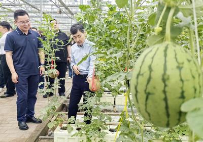 2026年青岛农业科技开放日活动举行，一批科技成果集中亮相