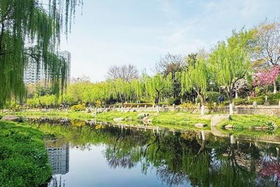从“日均达标”到“全时段达标清”！青岛13座污水厂通过考核升级