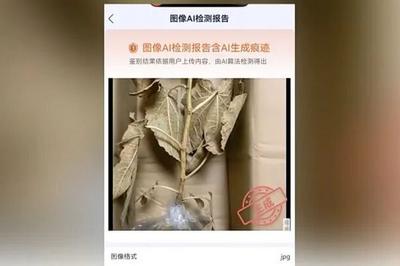 “AI内容鉴定”！国家反诈中心App上线新功能