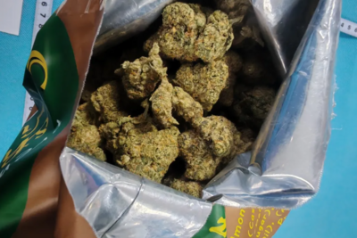 申报为“干粮”，广州海关查获4782.65克毒品大麻