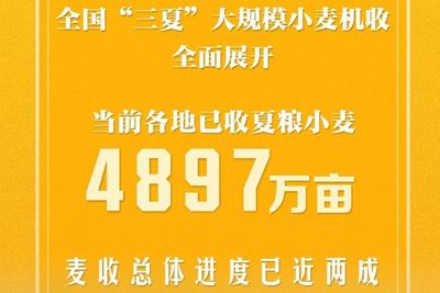 全国“三夏”大规模小麦机收全面展开