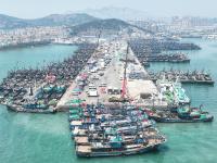 青岛进入伏季休渔期，3400余艘渔船停港休渔