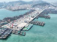 青岛进入伏季休渔期，3400余艘渔船停港休渔