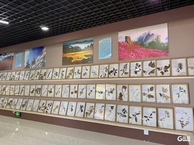 可来打卡体验！青岛市第一批生物多样性体验地名单正式公布