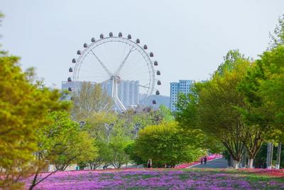 青岛今天晴间多云，市区最高气温24℃，最低气温16℃
