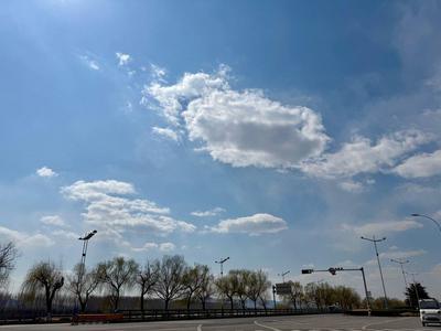 最高温冲38℃！山东“盛夏体验卡”限时发放，生产生活需注意啥？