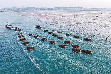 青岛：量产种业“芯片”，充实“扩繁版图”