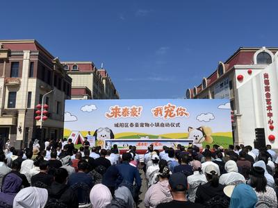 泰豪宠物小镇开业！全省首个沉浸式宠物主题综合体落地青岛