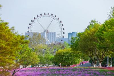 青岛今天晴间多云，市区最高气温21℃，最低气温16℃